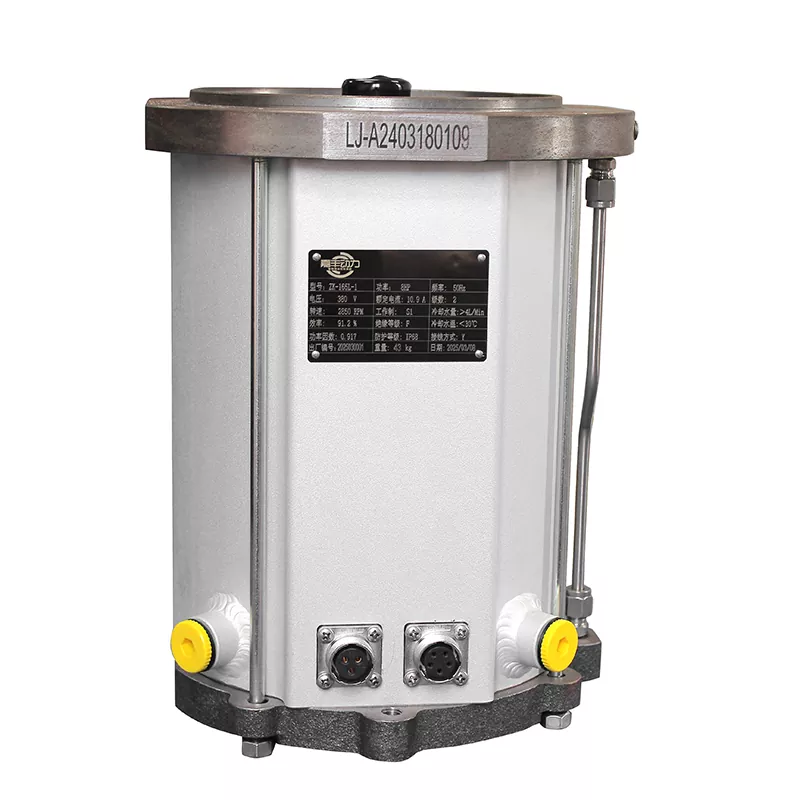 Roots Vacuum Pump Motor